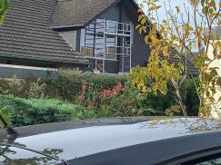 Giebelfenster grau